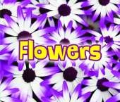 All About Plants Pack A of 5 PB