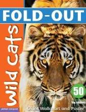 Fold-Out Poster Sticker Book: Wild Cats