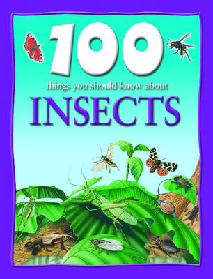 Insects and Spiders