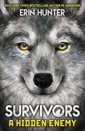 Survivors: A Hidden Enemy