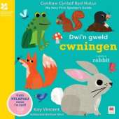 Dwi'n Gweld Cwningen / I Spot a Rabbit