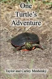One Turtle's Adventure