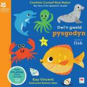 Dwi'n Gweld Pysgodyn / I Spot a Fish