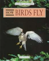 Nature's Mysteries: How Birds Fly