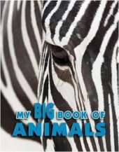Animal Encyclopedia