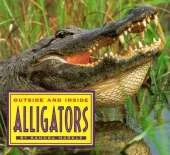 Outside and inside Alligators