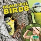 Beautiful Birds