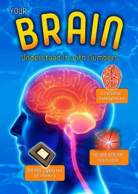 Your Brain: Understand it with Numbers