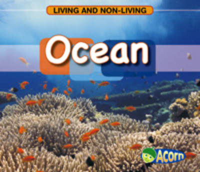 Living and Non-Living Pack A of 4