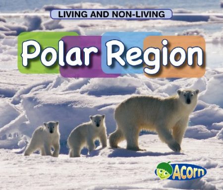 In a Polar Region