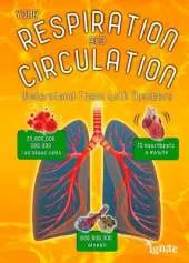 Your Respiration and Circulation: Understand it with Numbers