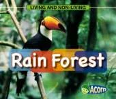 In a Rain Forest