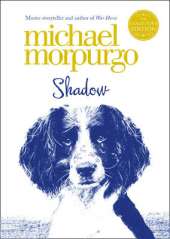 Shadow