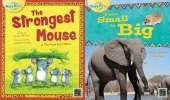 The Strongest Mouse Big Book