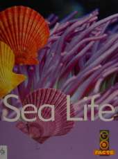 Sea Life