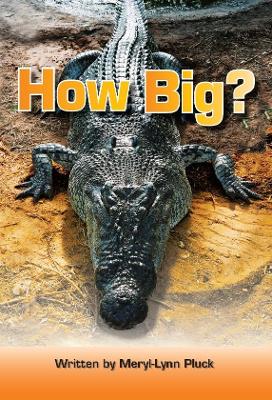 How Big
