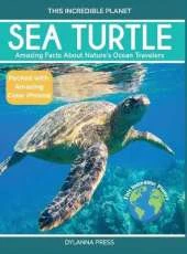 Sea Turtle: Amazing Facts About Nature's Ocean Travelers