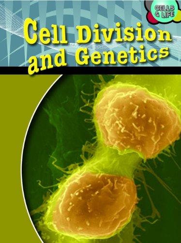 Cell Division and Genetics