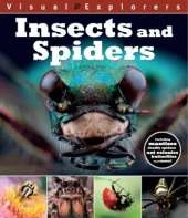 Insects and Spider