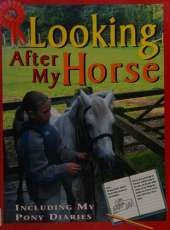 Looking After My Horse