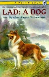 Lad: A Dog