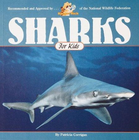 Sharks for Kids