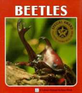 Beetles