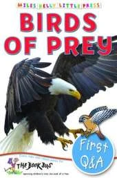 First Q&A Birds of Prey