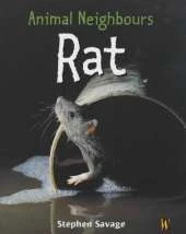 Animal Neighbours: Animal Neighbours: Rat