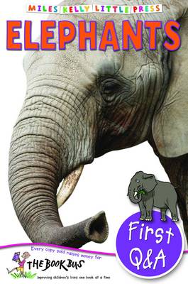 First Q&A Elephants