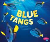 Regal Tangs