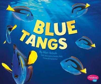 Regal Tangs