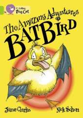 The Amazing Adventures of Batbird Workbook