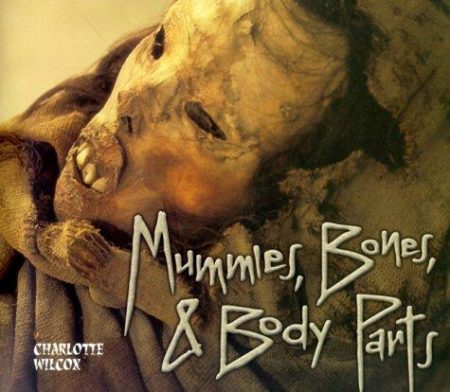 Mummies, Bones And Body Parts