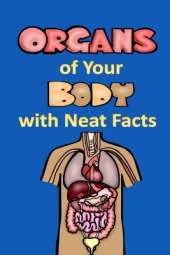 Organs of Your Body with Neat Facts