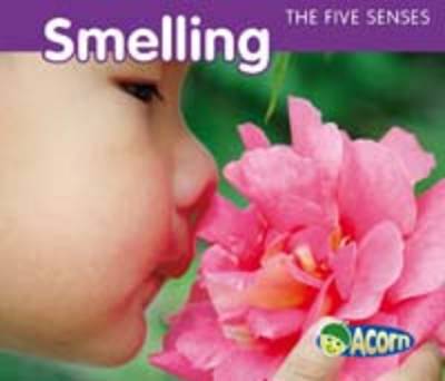 Five Senses: Pack A