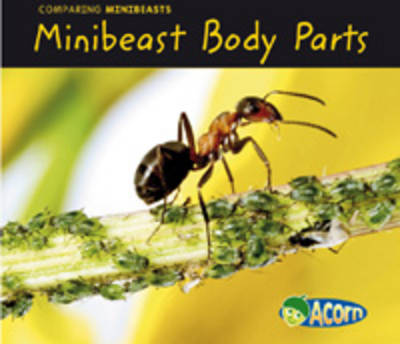Minibeast Body Parts