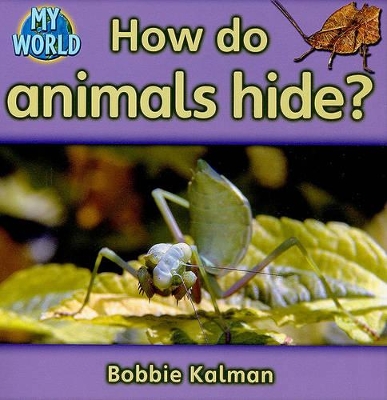 How do animals hide?: Animals in My World