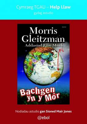 Help Llaw Gydag Astudio Bachgen Yn Y Mor - Cymraeg TGAU