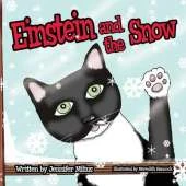 Einstein and the Snow