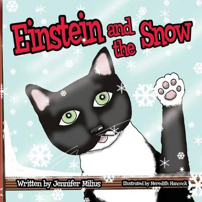 Einstein and the Snow