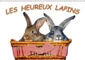 Les Heureux Lapins: Des Lapins Devant L'appareil Photo. Nous Les Lapins, Nous Aimons Etre Pris En Photo.