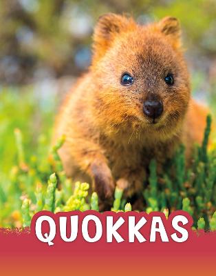 Quokkas
