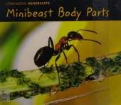 MINIBEAST BODY PARTS