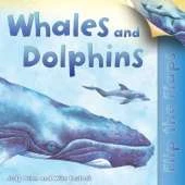 Whales and Dolphins