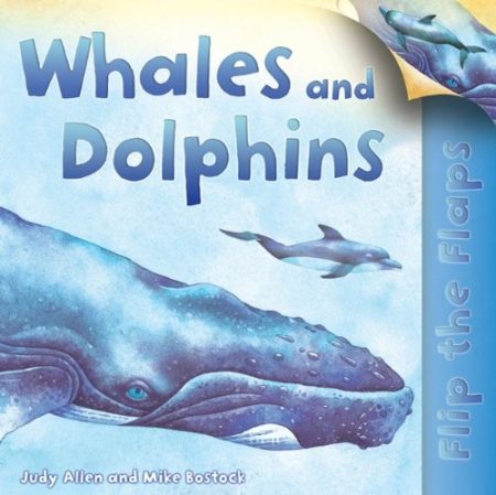 Whales and Dolphins