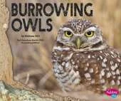 Burrowing Owls