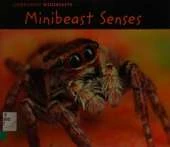 Minibeast Senses
