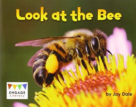 Look at the Bee