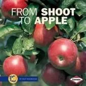 From Shoot to Apple